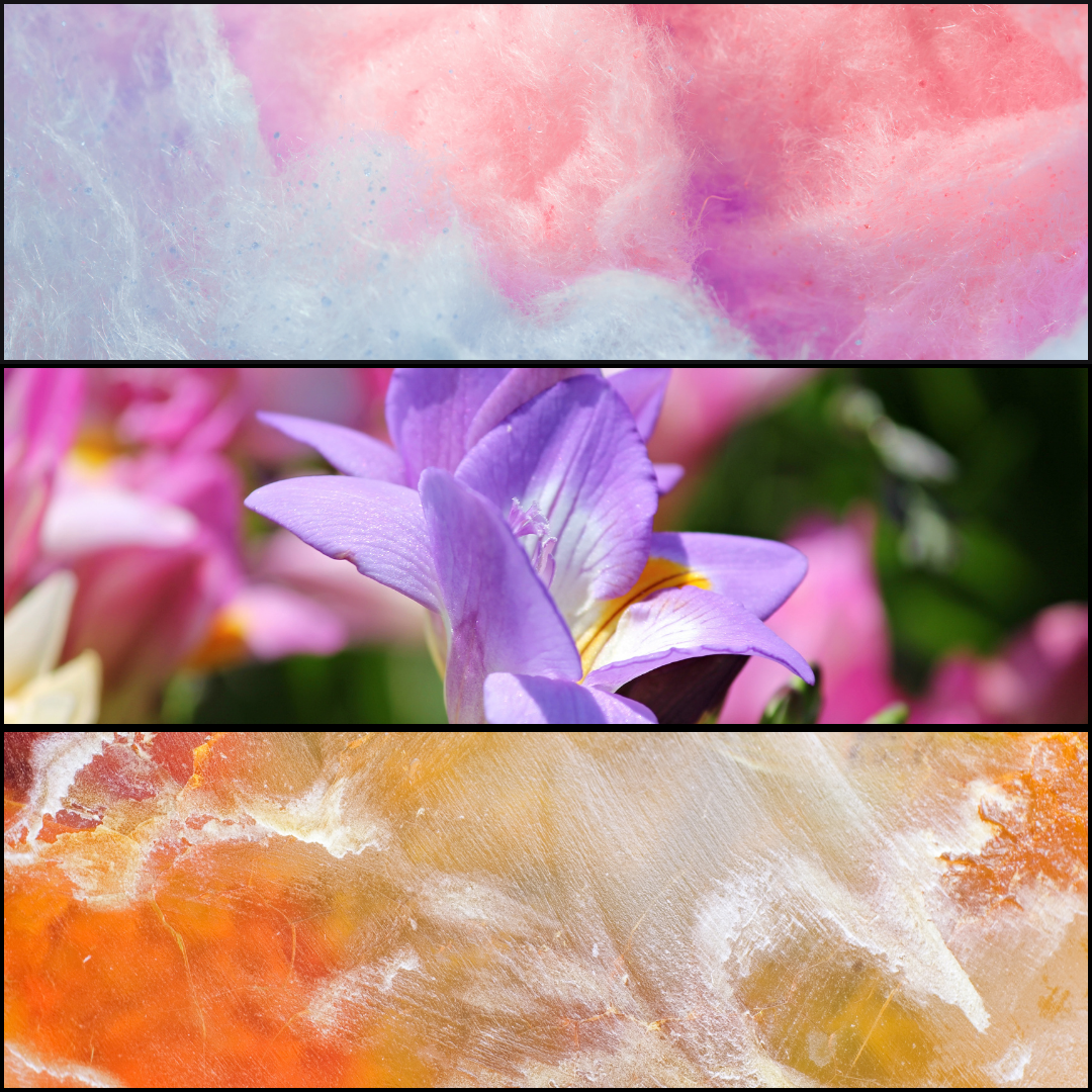 MNEME MELTS - The Muse of Memory