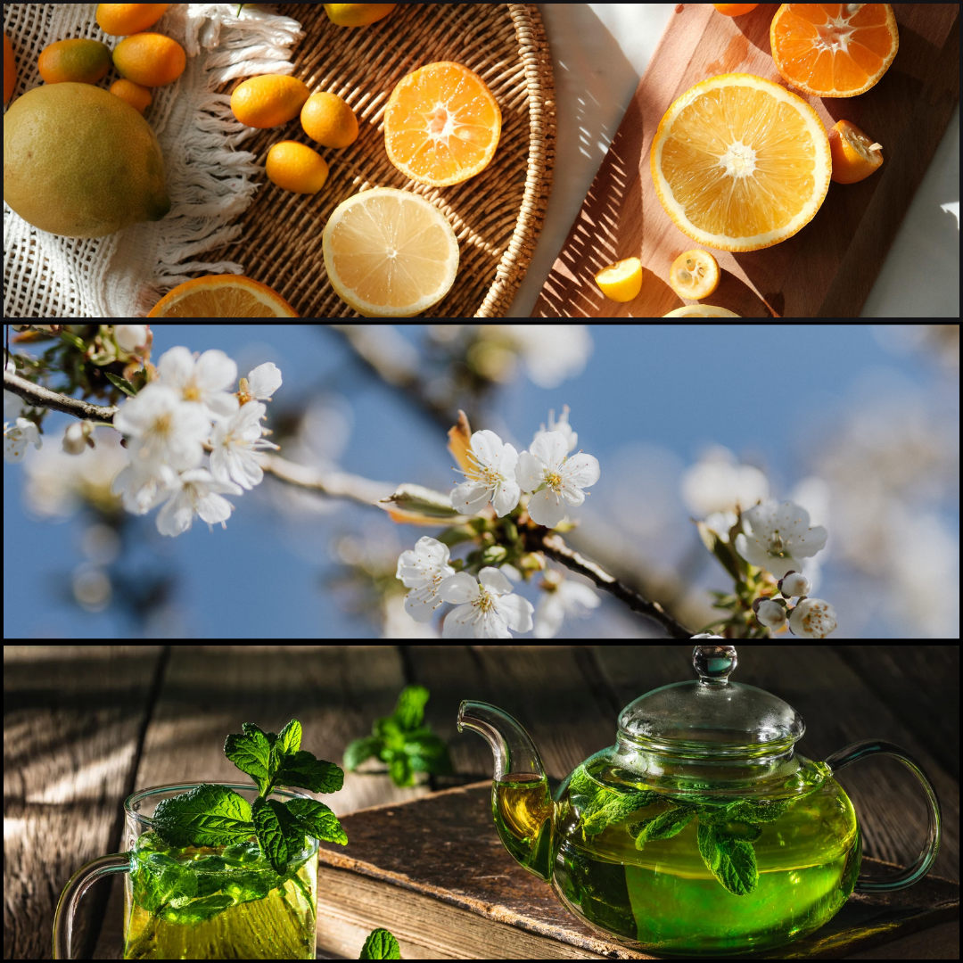 HEMERA – The Dawn’s First Light