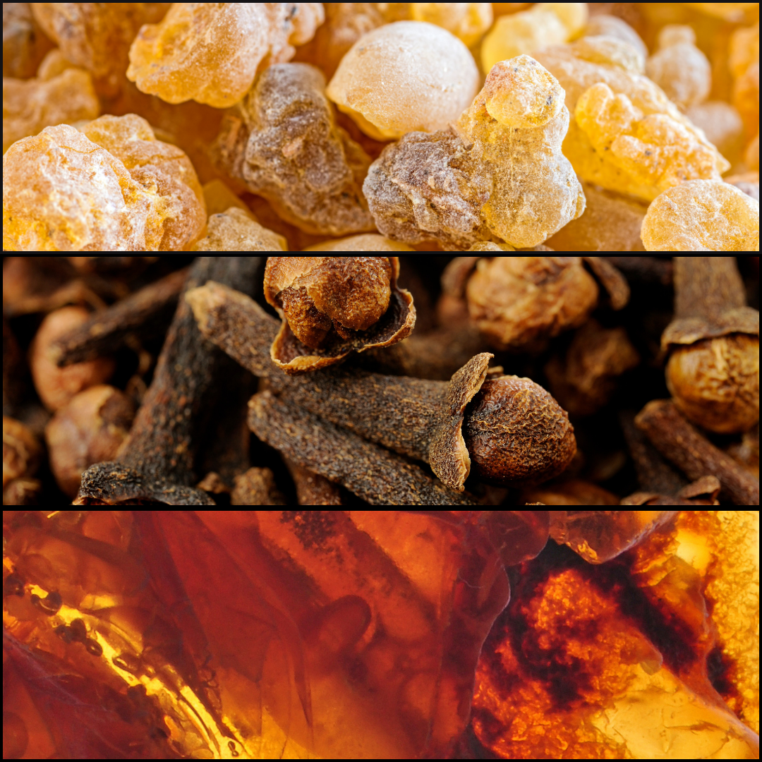 MELETE — The Muse of Practice