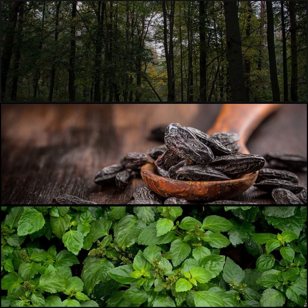 EREBUS – The Shadow’s Whisper