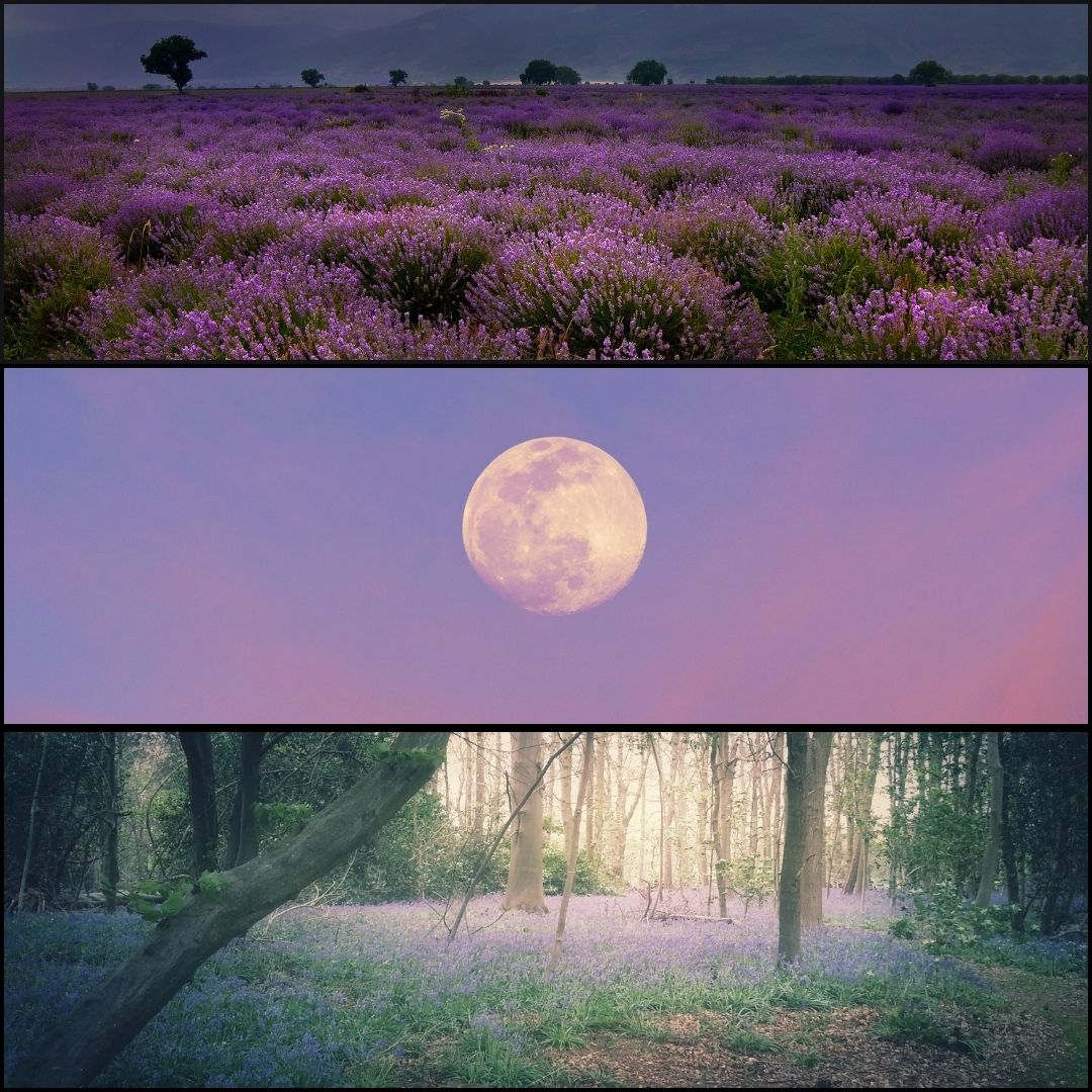 NYX – The Veil of Night