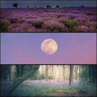 NYX – The Veil of Night