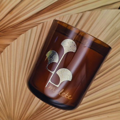 MELETE — The Muse of Practice