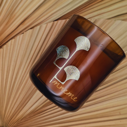 MNEME — The Muse of Memory