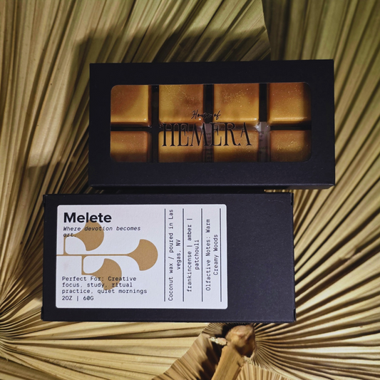 MELETE MELTS - The Muse of Practice